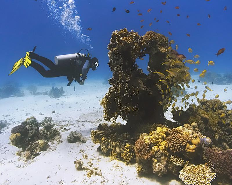 Egypt, Sharm El Sheikh